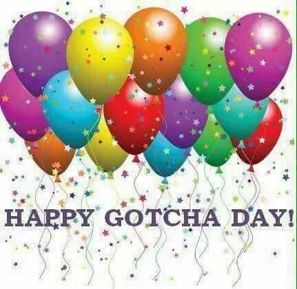 Happy Gotcha Day, Gotcha Day Quotes, Purple Cross, Happy Birthday Quotes Funny, Gotcha Day, Happy Birthday Images, Succulents Diy, Birthday Images, Aesthetic Stickers