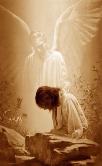 * God the Father sent an angel to strengthen Jesus in the garden of Gethsemane The Garden Of Gethsemane, Jesus Son Of God, Gardening Tips And Tricks, Garden Of Gethsemane, Jesus Drawings, Jesus Christ Painting, Jesus Artwork, Jesus Christ Artwork, Pictures Of Christ