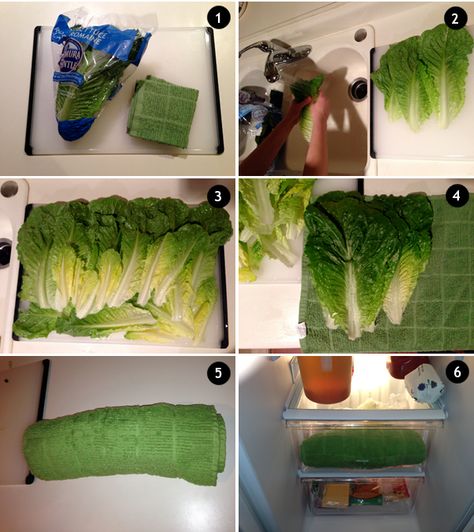 How to Store Lettuce in the Fridge Best Way To Store Lettuce In Fridge, How To Keep Lettuce Fresh In Fridge, How To Keep Lettuce Fresh Longer, Best Way To Store Lettuce, Keep Lettuce Fresh Longer How To Store, Storing Lettuce, Bountiful Baskets, Storing Fruit, Paleo Salads