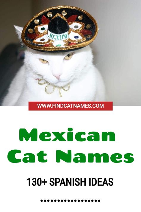 130+ fabulous Mexican cat names! Includes popular Spanish words, Mexican locations, food and beverages, and the top male and female names in the country. Kitten Names Unique, Names For Male Cats, Kitten Names Girl, Grey Cat Names, Mexican Names, Mexican Cat, Boy Cat Names, Girl Cat Names, Unique Cat Names