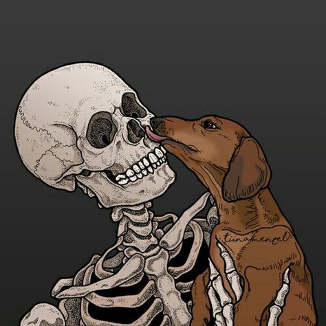 Skeleton Artwork, Skeleton Drawings, Dog Skeleton, Skeleton Art, A Skeleton, Skull Wallpaper, Skull Art, Dark Wallpaper, Cute Cartoon Wallpapers