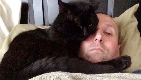 He Spent Most of His Life as a Stray Cat Until He Found this Man - Love Meow Black Cat Videos, Crazy Cat Man, Kitty Videos, Cat Beautiful, Cat Stories, Cute Cat Gif, Cat People, Stray Cat, Cat Shelter