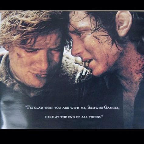 Sam and Frodo <3 Frodo And Sam, Samwise Gamgee, Concerning Hobbits, Frodo Baggins, Into The West, The Shire, Fellowship Of The Ring, Jrr Tolkien, Legolas