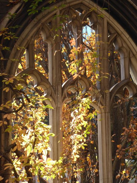 picturesque on Tumblr St Dunstan In The East, Greg Lake, Semper Fidelis, Taylor Swift Fearless, Taylor Swift Album, Middle Earth, East London, Fire Emblem, The East