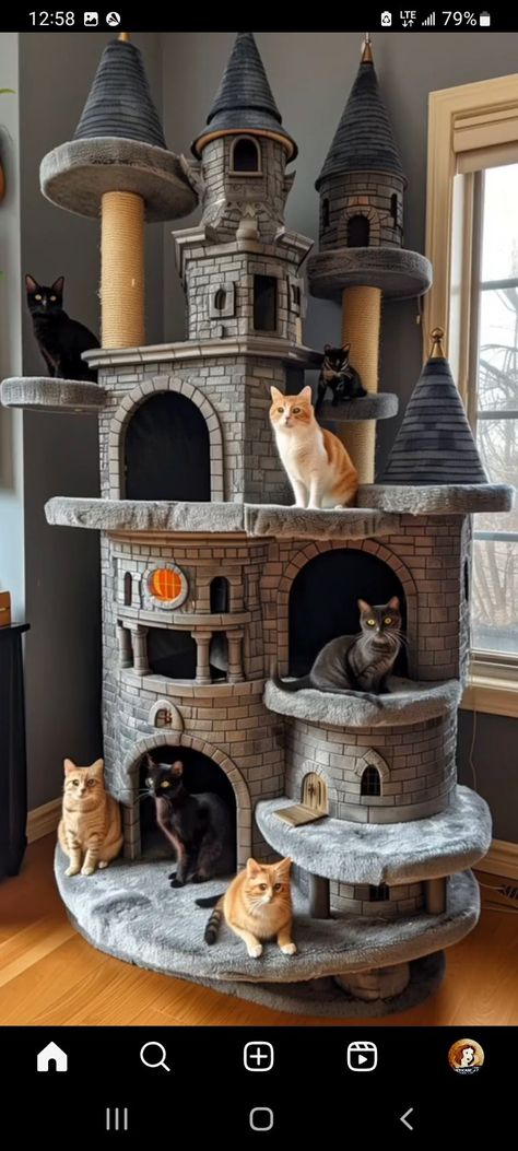 Cool Cat Towers, Cat Enrichment Ideas, Aesthetic Cat Tree, Diy Cat Toys Easy, Cool Cat Beds, Make A Mood Board, Cat Tree Designs, Cardboard Cat House, Cat Castle