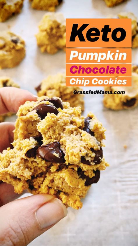 Keto Pumpkin Chocolate Chip Cookies, Sneaky Veggies, Healthy Bakes, Macro Diet, Pumpkin Cream Cheese Pie, Keto Baking, Ketogenic Desserts, Keto Lasagna, Keto Pumpkin