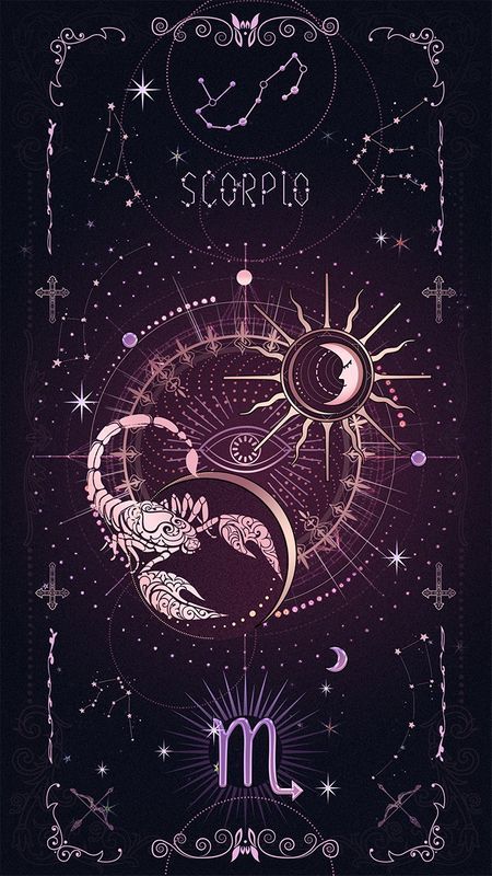 Scorpio Art, Witch Wallpaper, Zodiac Signs Scorpio, Witchy Wallpaper, Cute Black Wallpaper, Astrology Art, Celestial Art, Scorpio Zodiac, Zodiac Art