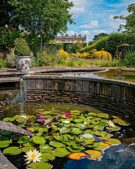 Highgrove Gardens (@highgrovegarden) • Instagram photos and videos Highgrove Garden, Pool Garden, Garden Tours, Pink Blossom, Soothing Sounds, The Pond, Deep Pink, House Layouts, Sun Kissed