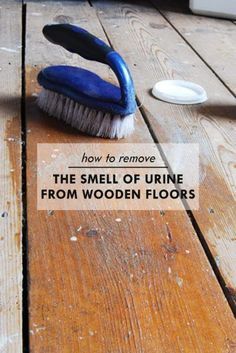 Homemade Toilet Cleaner, Hardwood Floor Cleaner, Urine Smells, Cleaning Painted Walls, Dog Urine, Wooden Floorboards, Glass Cooktop, Deep Cleaning Tips, Pet Urine