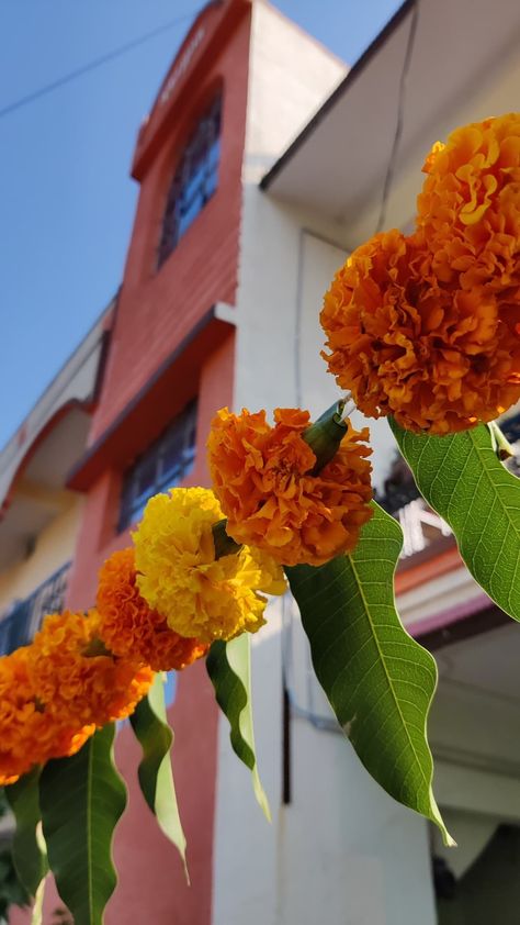 festive house marigold garland Aztec Marigold, Marigold Garland, Wedding Gift Pack, Home Entrance, Wedding Decor Style, Marigold Flower, Gift Pack, House Entrance, Simple Decor