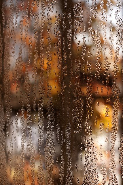 condensation. by stevenbley, via Flickr I Love Rain, Autumn Rain, Autumn Magic, Autumn Tree, Love Rain, Rain Rain, Sound Of Rain, It's Raining, Window Pane