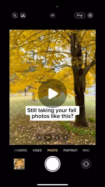 JD The Camera Guy | Teaching You Photography on Instagram: "Still taking your fall photos like this? . . . #fyp #viral #iphone12 #iphone11#iphonephotographytips #iphonetricks #tipsandtricks #tips  #iphoneaesthetic #iphone14 #photography #photographytips #photoshoot #ios18 #iphonehacks #shotoniphone #mobilephotography #tutorial" Iphone Photography Ideas, Phone Photography Tutorials, Pic Tips, Mobile Photography Tips, Alzheimers Activities, Instagram Planning, Photography Hacks, Photo Hacks, Iphone Art