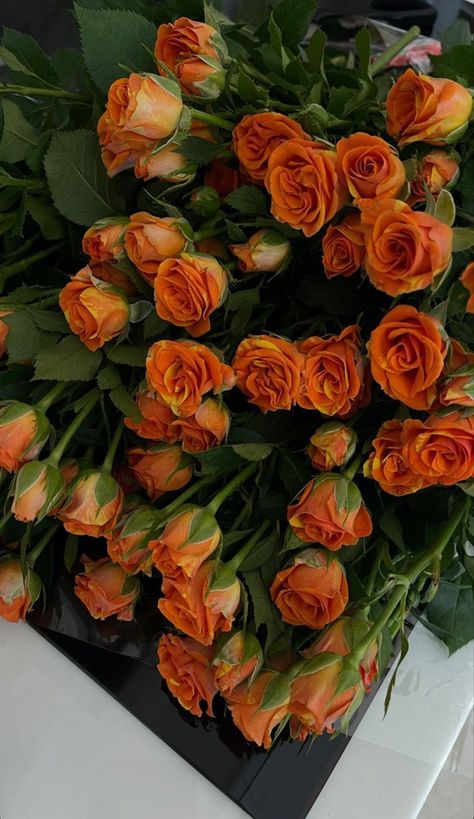 Orange Aesthetics, Luxury Bouquet, Father Love, Boquette Flowers, Book Flowers, Flowers Bouquet Gift, Nothing But Flowers, Orange Aesthetic, Flower Therapy