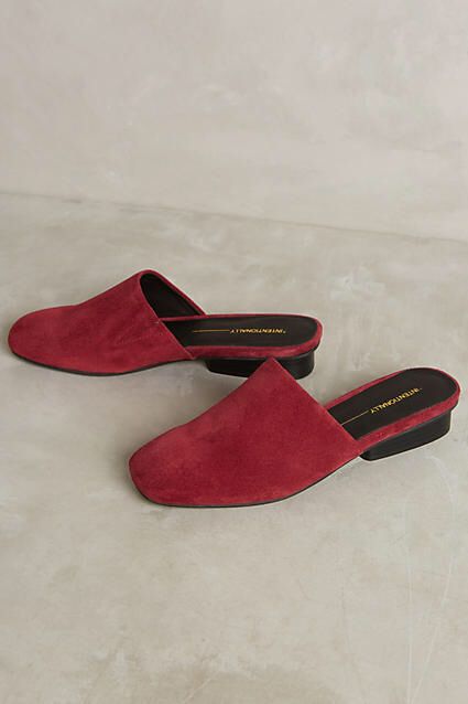 Intentionally Blank Suede Slides Velvet Mules, Intentionally Blank, Fall Winter Shoes, Suede Slides, Slip On Mules, Boots And Sneakers, Winter Shoes, Sock Shoes, Shoe Brands