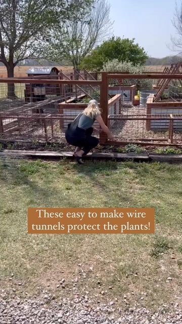 Megan Austin on Instagram: "I filmed these DIY chicken tunnels last spring and wanted to share it again! These are cheap and easy. They protect garden vegetables and flowers from free range chickens, trampling dogs and even some digging pests like rabbits. I do not stake mine down, I like to be able to lift them up for easy weeding. I do recommend blocking off the ends of the tunnel, otherwise you will inevitably have a really smart chicken that figures out how to get in. Don’t underestimate t Protect Garden From Chickens, Chicken Tunnel, Chicken Tunnels, Diy Chicken, Future Farms, Garden Vegetables, Free Range Chickens, Plant Tags, Chicken Diy