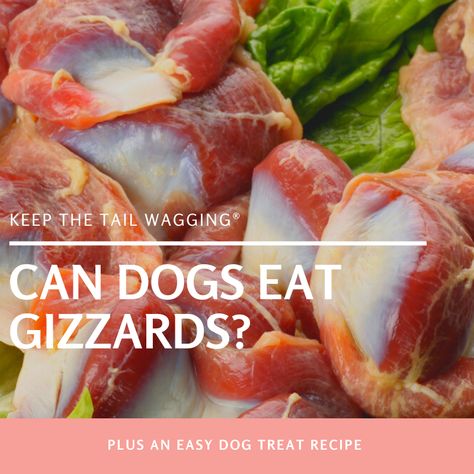 Chicken Hearts For Dogs, Chicken Gizzards For Dogs, Gizzards For Dogs, Giblets Recipe, Healthy Dog Biscuits, Dog Homemade, Raw Feeding For Dogs, Pup Treats, Gizzards Recipe