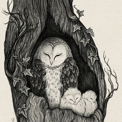 Some owl-based waffling on my Substack today! Do come along if you like artists rambling about what they like about art. That's pretty much all I'm doing over there, but if you do subscribe I would love to know what you would be interested in reading about! 🙏 Owl Tree, Family Drawing, Owls Drawing, Owl Family, Wood Burning Art, Graphite Drawings, Tree Drawing, Family Art, Beautiful Posters