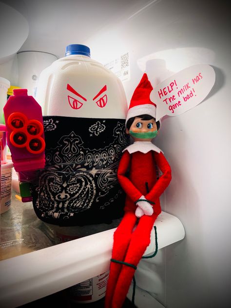 Probably my favorite one yet. #elf #elfontheshelf #elfontheshelfideas #elfontheshelfarrival #elfontheshelfideasforkids #christmas Elf On The Shelf, Some Fun, Elf, My Favorite, Milk, Christmas