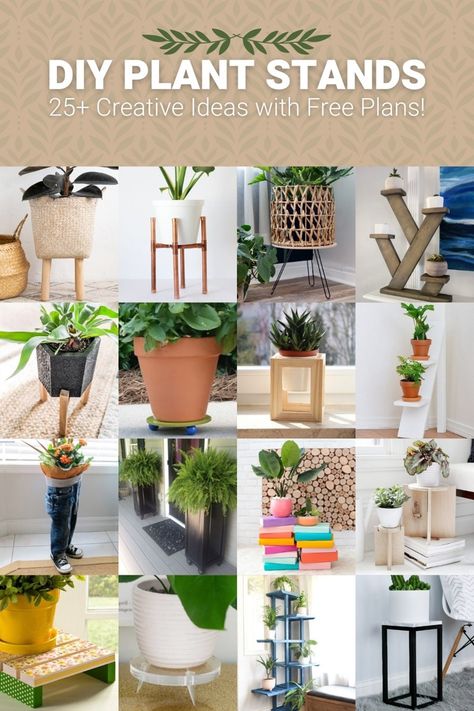 Looking for ways to display your plants or raise them up off your floor? Get some really creative ideas with this list of over 25 DIY plant stands all with free tutorials or build plans! If you have a plant, you may need a plant stand for inside or outside. It doesn’t matter if you … The post DIY Plant Stands: 25+ Creative Ideas with Free Plans appeared first on DIY Candy. Plant Stand Ideas, Ladder Plant Stand, Plant Display Ideas, Tattoo Plant, Corner Plant, Support Pour Plante, Plant Stands Outdoor, Modern Plant Stand, Wooden Plant Stands