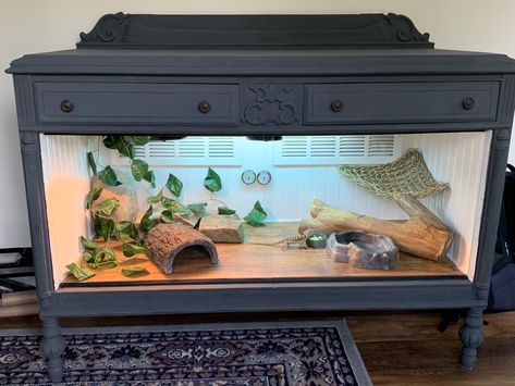 Reptile Enclosure In Bedroom, Furniture Reptile Enclosure, Reptile Terrarium Furniture, Dresser Reptile Enclosure, Diy Bearded Dragon Enclosure Tv Stand, Python Enclosure, Diy Bearded Dragon Enclosure, Dragon Enclosure, Lizard Cage