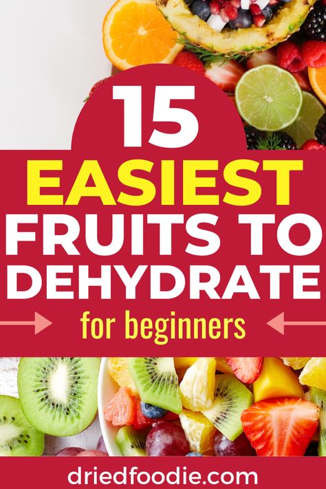 Infusing Alcohol, How To Dry Fruit, Dehydrator Recipes Fruit, Dehydrated Recipes, Fruit Wash, Dehydrating Recipes, Best Food Dehydrator, Canning Gifts, Dried Fruit Recipe