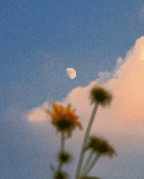 July 10, Keep Trying, Everyone Else, You Deserve, The Moon, Love You, Moon, Sun, On Instagram