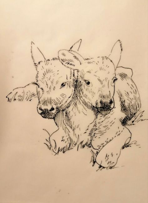 2 Headed Animals Tattoo, Double Headed Calf Tattoo, Two Headed Animals Drawings, Two Headed Animal Tattoo, Two Headed Calf Drawing, Calf Drawing, Two Headed Calf Tattoo, Two Headed Calf, Animal Tattoos For Women