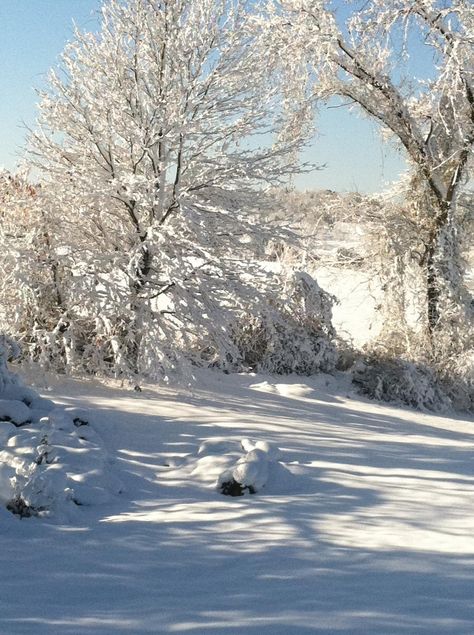 bright sunny day after the snow Snowy Day Aesthetic Cozy, Sunny Snowy Day Aesthetic, Sunny Snowy Day, Sunny Winter Day Aesthetic, Sunny Winter Aesthetic, Snow Day Aesthetic, Cold Sunny Day, Sunny Winter Day, Bright Sunny Day