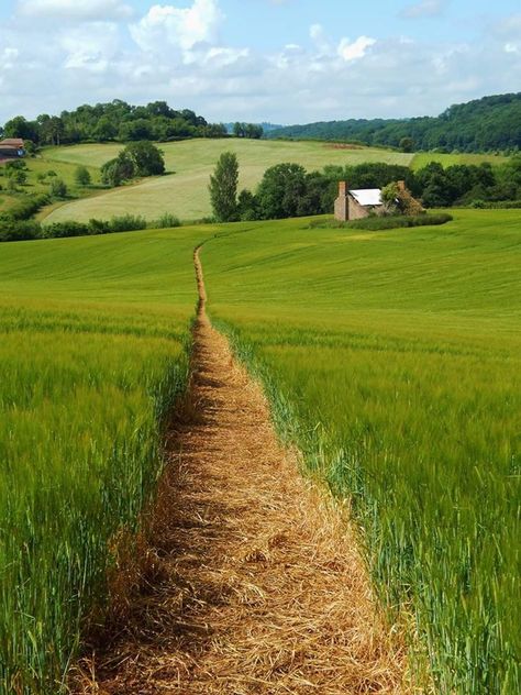 On the flanks of the Teme Valley, Eastern Herefordshire. Eastern Europe Countryside, Herefordshire Countryside, Rural England Aesthetic, East Sussex Countryside, Yorkshire Moors Aesthetic, England Countryside, Green Belt, Hereford, Sacred Places