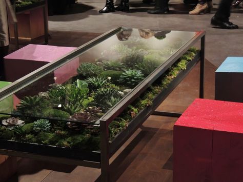 Table with plants Table With Plants, Blooming Table, Plant In Glass, Coffee Table Plants, Glass Planter, Green Accessories, Plant Table, Glass Cube, Room With Plants