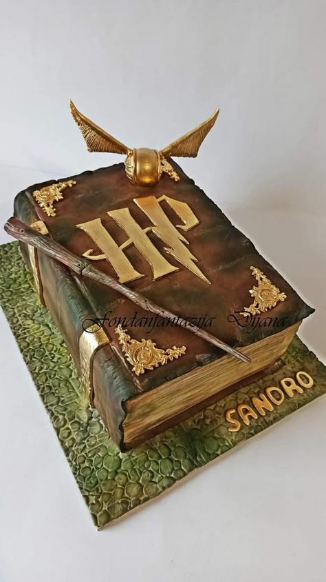 Hand painted cake Harry Potter Pasta, Harry Potter Book Cake, Harry Potter Cakes, Harry Potter Birthday Cake Ideas, Tort Harry Potter, Harry Potter Theme Cake, Harry Potter Desserts, Gateau Harry Potter, Hand Painted Cake