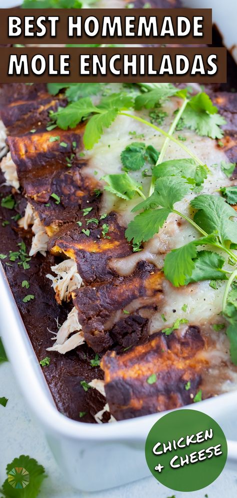 Quickly and easily make a batch of these Chicken Mole Enchiladas at home that tastes as good as your favorite Mexican restaurants'!  Corn tortillas are lightly fried in oil, filled with shredded chicken and cheese, and then covered in a homemade mole sauce that is secretly easy to make.  Meal prep them for the week or entertain guests with this impressive dish at your next Cinco de Mayo party! Mole Chicken Enchiladas, Enchiladas With Mole Sauce, Mole Enchiladas Recipe, Mole Recipes, Recipe Shredded Chicken, Chicken Mole Enchiladas, Mole Sauce Recipe, Healthy Latin Recipes, Mole Enchiladas