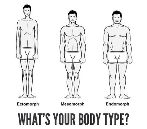 Body Types Endomorph, Body Types Male, Male Body Types, Ectomorph Body, Mens Body Types, Male Fitness Photography, Diets For Men, Winter Arc, Better Diet