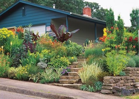 Sloped Front Yard, Pacific Northwest Garden, Northwest Garden, Northwest Landscaping, Landscaping On A Hill, Front Yard Decor, Small Front Yard Landscaping, Small Front Yard, Dream Yard