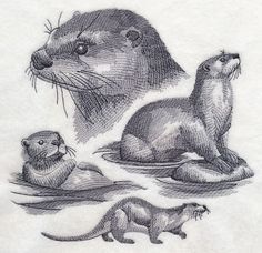 Otter Sketch Otter Sketch, Otters Hugging, Otter Drawing, Otter Tattoo, Otter Illustration, River Otters, Otter Art, Desenho Tattoo, Sea Otter