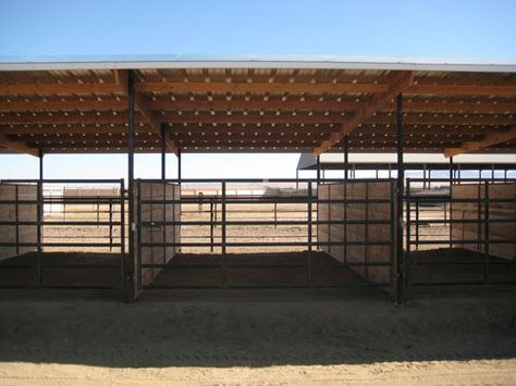 Covered outdoor pens Covered Horse Stalls, Covered Arena Ideas, Outdoor Horse Stalls, Horse Pen Ideas, Horse Farm Layout, Horse Shelters, Small Horse Barns, Horse Pens, Horse Shed