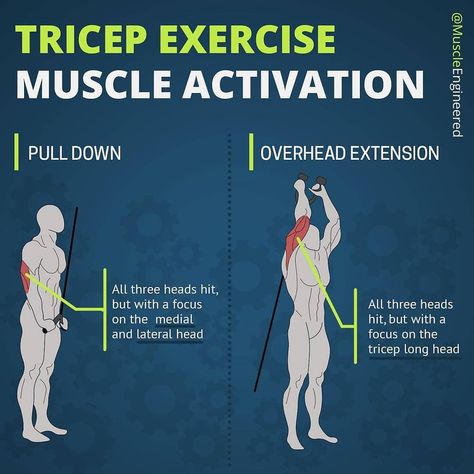 🔥𝐓𝐑𝐈𝐂𝐄𝐏 𝐄𝐗𝐄𝐑𝐂𝐈𝐒𝐄 𝐌𝐔𝐒𝐂𝐋𝐄 𝐀𝐂𝐓𝐈𝐕𝐀𝐓𝐈𝐎𝐍🔥 Push Down Versus Overhead Extension ⠀ 📍Anatomy of the Tricep ➖The tricep is composed of three heads… Lose 80 Pounds, Exercise For Women, Exercise Muscle, Gym Workout Chart, Best Exercise, Weight Training Workouts, Lower Abs, Triceps Workout, Gym Workout Tips