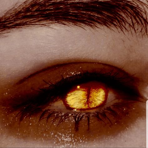 Edit of another pic on pinterest couldn't find any good slot eyes on here Reptile Eyes Human, Dragon Eye Aesthetic, Wings Over Eyes, Dragon Eyes Aesthetic, Yellow Eye Aesthetic, Yellow Eyes Male, Scourge Aasimar Aesthetic, Yellow Snake Eyes, Golden Eyes Aesthetic