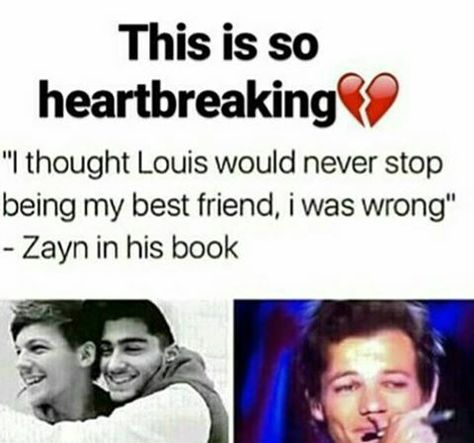 Zouis Malikson, One Direction Cartoons, One Direction Jokes, One Direction Facts, One Direction Images, Direction Quotes, One Direction Imagines, One Direction Quotes, One Direction Photos