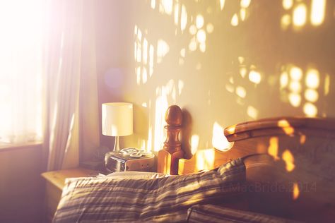 COISA BOA Morning Light Bedroom, Warm Light Aesthetic, Soft Light Aesthetic, Morning Sunlight, Colour Theme, Sun Light, Morning Sun, Luz Natural, Through The Window