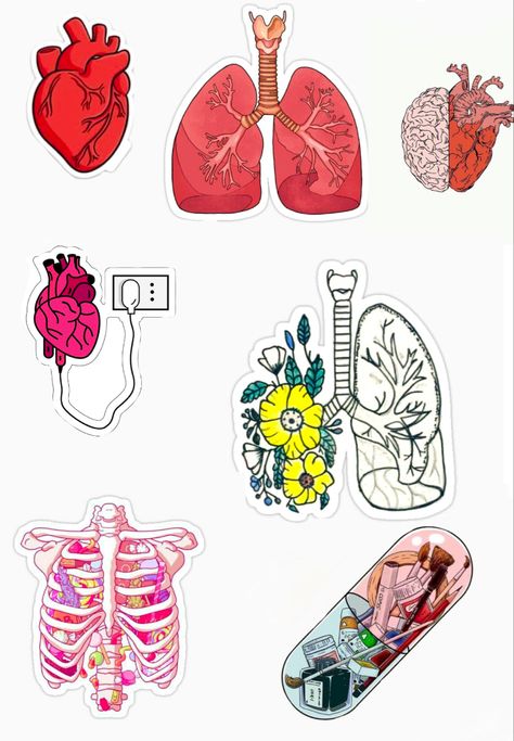 Medtech Stickers, Medical Stickers Aesthetic, Medicine Stickers, Medical Stickers, Body Study, Play Hacks, Medical Wallpaper, Cactus Stickers, Cute Laptop Stickers