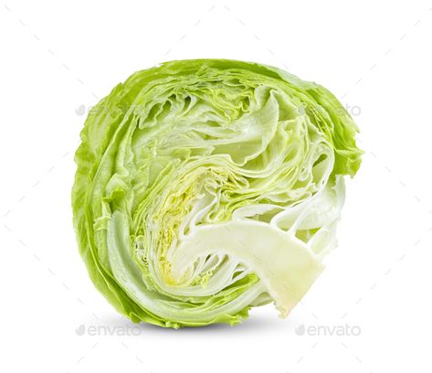 Cabbage Photography, Kale Leaf, Sliced Cabbage, Homemade Macaroni Cheese, Agriculture Background, Raw Salad, Chinese Diet, Cabbage Vegetable, Vegetable Slice