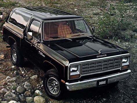 1982 Dodge Ramcharger (AW100) | Человек! | Flickr Dodge Pickup Trucks, Old Dodge Trucks, Dodge Cars, Dodge Ramcharger, Dodge Pickup, Dodge Power Wagon, Old Pickup, Dodge Truck, Old Pickup Trucks