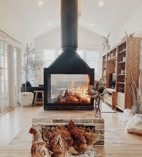 Wood Burning Stoves Living Room, Barn Remodel, Double Sided Fireplace, Wood Heater, Fire Places, Freestanding Fireplace, Indoor Fireplace, Home Fireplace, Fireplace Design