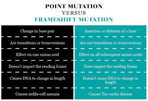 POINT MUTATION VERSUS FRAMESHIFT MUTATION Point Mutation, Dna Strand, Dna Replication, Brain Facts, Grade 12, X Rays, Biology Notes, Science Degree, Master Of Science