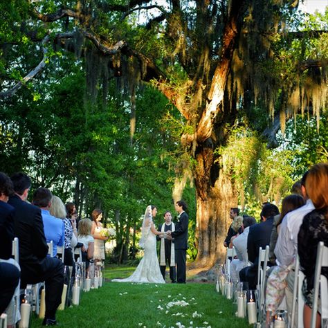 Palmettos on The Bayou - Slidell, LA Bayou Wedding, 1920s Wedding Theme, Wedding Budget Breakdown, Louisiana Bayou, Louisiana Wedding, Wedding Muslim, 1920s Wedding, The Bayou, Wedding Sparklers