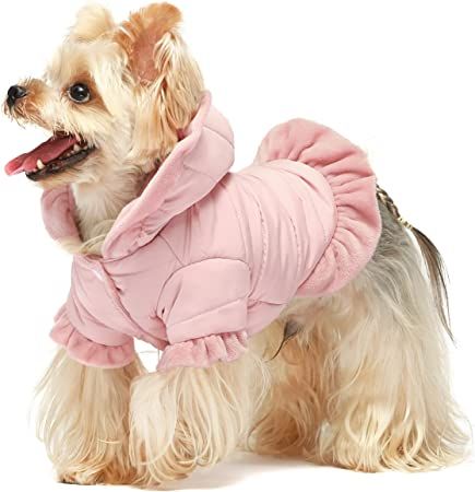 Amazon.com : Fitwarm Ruffle Dog Coat, Puffer Jacket, Dog Winter Clothes for Small Dogs Girl, Pet Cat Hooded Outfit, Pink, Medium : Pet Supplies Teach Dog Tricks, Standard Dachshund, Teacup Breeds, Puffer Jacket With Hood, Dog Winter, Dog Winter Clothes, Dog Winter Coat, Girl Cat, Small Dog Clothes