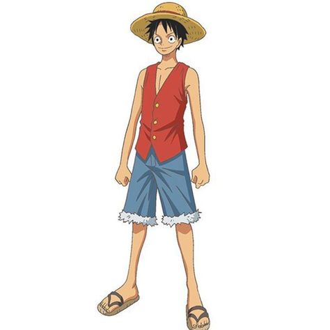 300,000,000 Luffy Outfits, Big Mum, Monster Trio, 90s Cartoon Characters, Luffy Cosplay, One Piece Chapter, Patchwork Fashion, Birthday Illustration, Nami One Piece