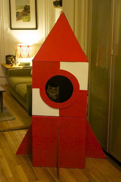 Como hacer una casa para gatos bien original Cardboard Rocket, Diy Cat Tent, Collar Ideas, Cardboard Cat House, Cardboard Cat, Red Bamboo, Tree Collar, Peridot Bracelet, Bamboo Coral