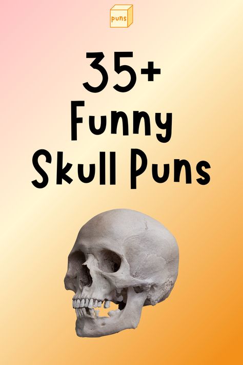 Your skull supports your facial muscles and protects your brain. Whether learning about it or a fan, read funny skull puns for a laugh. Skull Quotes Funny, Funny Halloween Skeleton Sayings, Skeleton Sayings Funny, Skeleton Puns Halloween, Funny Skeleton Quotes, Skeleton Captions, Skeleton Sayings, Skull Sayings, Brain Puns